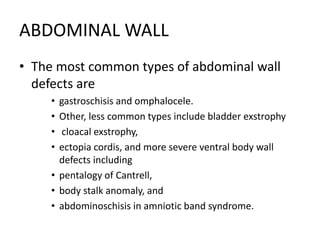 Fetal anomaly scan | PPTX