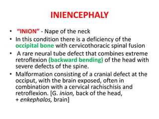 What Is Inion Fetal autopsy | PPTX