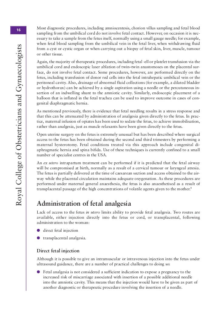 essay culture shock hong kong