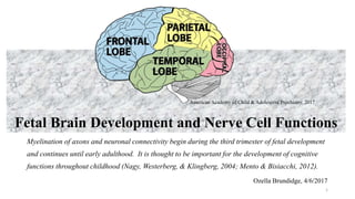 Fetal Brain Development and Nerve Cell Functions
Myelination of axons and neuronal connectivity begin during the third trimester of fetal development
and continues until early adulthood. It is thought to be important for the development of cognitive
functions throughout childhood (Nagy, Westerberg, & Klingberg, 2004; Mento & Bisiacchi, 2012).
1
American Academy of Child & Adolescent Psychiatry, 2017
Ozella Brundidge, 4/6/2017
 