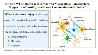 Diffused White Matter is Involved with Myelination, Cytostructural
Support, and Possibly has its own Communication Network*
(Dreamstime, 2015; Lubsen, Vohr, Myers, Hampson, Lacadie, Schneider, Katz, et al., 2011)
12
Diffuse white matter injury is the major
cause of neurodevelopmental conditions
experienced by some preterm born children.
The three types of diffuse white matter are:
1. Oligodendrocyte
2. Microglia
3. Astrocyte
 