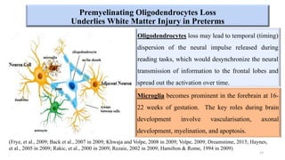 Oligodendrocytes loss may lead to temporal (timing)
dispersion of the neural impulse released during
reading tasks, which would desynchronize the neural
transmission of information to the frontal lobes and
spread out the activation over time.
(Frye, et al., 2009; Back et al., 2007 in 2009; Khwaja and Volpe, 2008 in 2009; Volpe, 2009; Dreamstime, 2015; Haynes,
et al., 2005 in 2009; Rakic, et al., 2000 in 2009; Rezaie, 2002 in 2009; Hamilton & Rome, 1994 in 2009)
Premyelinating Oligodendrocytes Loss
Underlies White Matter Injury in Preterms
13
Microglia becomes prominent in the forebrain at 16-
22 weeks of gestation. The key roles during brain
development involve vascularisation, axonal
development, myelination, and apoptosis.
 