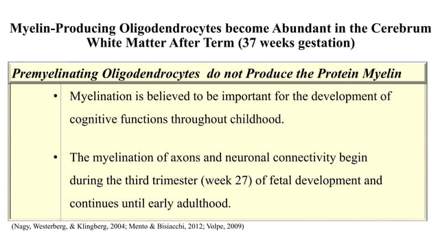 Fetal brain development and cellular functions | PPTX