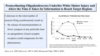 Premyelinating Oligodendrocytes Underlies White Matter Injury and
Alters the Time it Takes for Information to Reach Target Regions
A decrease in the total number of
neurons firing synchronously result in:
• the release of neurotransmitters at
fewer synapses at any particular time
• an upregulation of post-synaptic
receptors could compensate for this
phenomenon.
(Frye, et al., 2009; Back et al., 2007 in 2009; Khwaja and Volpe, 2008 in 2009)
17
 