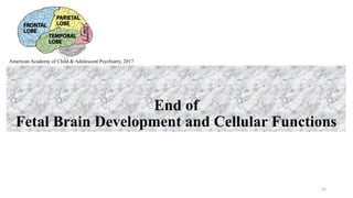End of
Fetal Brain Development and Cellular Functions
22
American Academy of Child & Adolescent Psychiatry, 2017
 