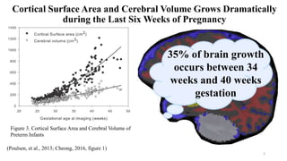 Cortical Surface Area and Cerebral Volume Grows Dramatically
during the Last Six Weeks of Pregnancy
3
(Poulsen, et al., 2013; Cheong, 2016, figure 1)
35% of brain growth
occurs between 34
weeks and 40 weeks
gestation
Figure 3. Cortical Surface Area and Cerebral Volume of
Preterm Infants
 