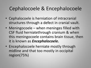 Cephalocoele & Encephalocoele
• Cephalocoele is herniation of intracranial
structures through a defect in cranial vault.
• Meningocoele – when meninges filled with
CSF fluid herniatethrough cranium & when
this meningocoele contains brain tissue, then
it is known as Encephalocoele.
• Encephalocoele herniate mostly through
midline and that too mostly in occipital
region(75%)
 