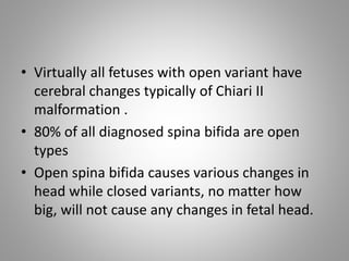 • Virtually all fetuses with open variant have
cerebral changes typically of Chiari II
malformation .
• 80% of all diagnosed spina bifida are open
types
• Open spina bifida causes various changes in
head while closed variants, no matter how
big, will not cause any changes in fetal head.
 