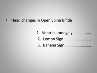 • Head changes in Open Spina Bifida
1. Ventriculomegaly……….........
2. Lemon Sign……………………….
3. Banana Sign………………………
 