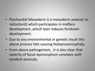 • Prechordial Mesoderm (i.e mesoderm anterior to
notochord) which participates in midface
development ,which later induces forebrain
development.
• Due to any environmental or genetic insult this
above process fails causing Holoprosencephaly.
• From above pathogenesis , it is also clear that
severity of facial dysmorphism corelates with
cerebral anomaly
 
