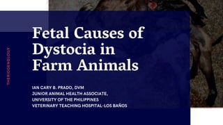 Fetal Causes of
Dystocia in
Farm Animals
IAN CARY B. PRADO, DVM
JUNIOR ANIMAL HEALTH ASSOCIATE,
UNIVERSITY OF THE PHILIPPINES
VETERINARY TEACHING HOSPITAL-LOS BAÑOS
THERIOGENOLOGY
 