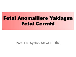 Fetal Anomalilere Yaklaşım
Fetal Cerrahi

Prof. Dr. Aydan ASYALI BİRİ

1

 