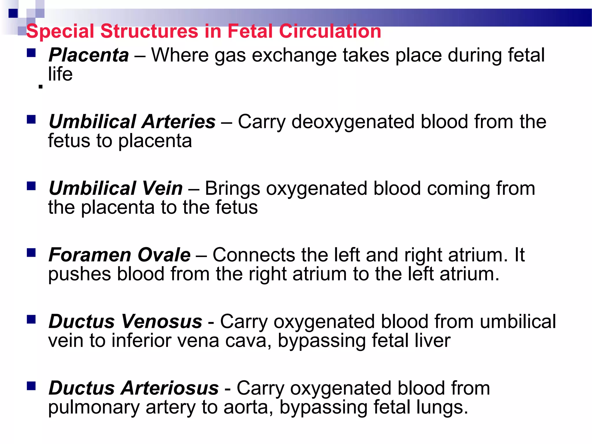 Fetalcirculation | PPT