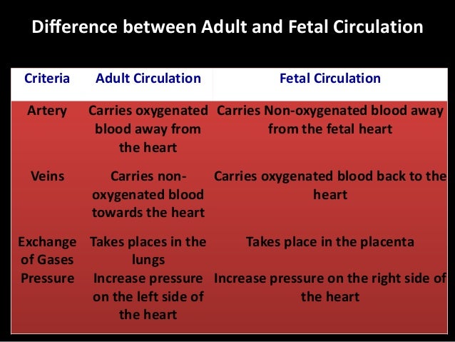 Fetal Circulation by Barkha Devi,Lecturer,Sikkim Manipal College of