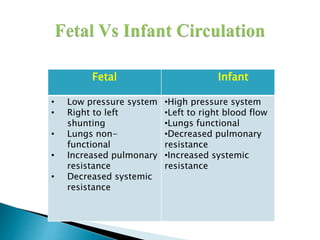 Fetalcirculation 