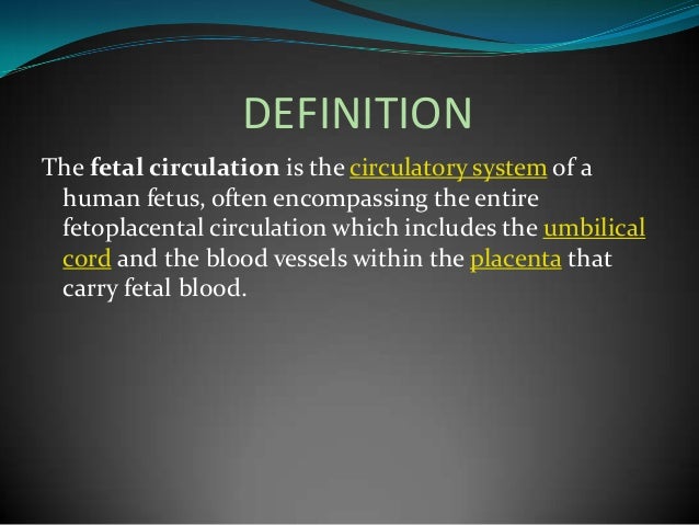Fetal circulation