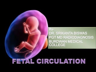 Fetal circulation by dr.srikanta biswas Slide 1