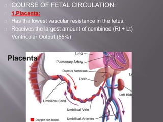 Fetal circulation by dr.srikanta biswas Slide 15