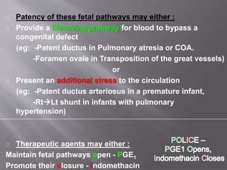 Fetal circulation by dr.srikanta biswas Slide 41