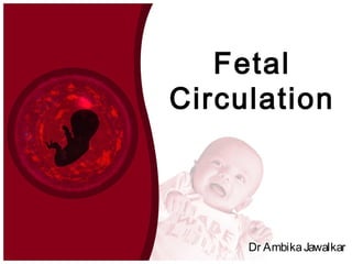 Fetal
Circulation
Dr AmbikaJawalkar
 