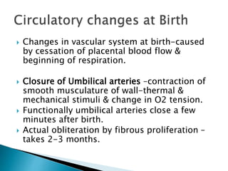  Changes in vascular system at birth-caused
by cessation of placental blood flow &
beginning of respiration.
 Closure of Umbilical arteries –contraction of
smooth musculature of wall-thermal &
mechanical stimuli & change in O2 tension.
 Functionally umbilical arteries close a few
minutes after birth.
 Actual obliteration by fibrous proliferation –
takes 2-3 months.
 