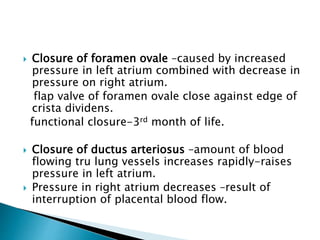  Closure of foramen ovale –caused by increased
pressure in left atrium combined with decrease in
pressure on right atrium.
flap valve of foramen ovale close against edge of
crista dividens.
functional closure-3rd month of life.
 Closure of ductus arteriosus –amount of blood
flowing tru lung vessels increases rapidly-raises
pressure in left atrium.
 Pressure in right atrium decreases –result of
interruption of placental blood flow.
 