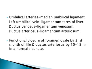 Umbilical arteries-median umbilical ligament.
Left umbilical vein-ligamentum teres of liver.
Ductus venosus-ligamentum venosum.
Ductus arteriosus-ligamentum arteriosum.
 Functional closure of foramen ovale by 3 rd
month of life & ductus arteriosus by 10-15 hr
in a normal neonate.
 