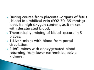  During course from placenta –organs of fetus
–blood in umbilical vein (PO2 30-35 mmHg)
loses its high oxygen content, as it mixes
with desaturated blood.
 Theoretically ,mixing of blood occurs in 5
places.
 1.Liver-mixes with blood from portal
circulation.
 2.IVC-mixes with deoxygenated blood
returning from lower extremities,pelvis,
kidneys.
 