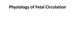 Physiology of Fetal Circulation
 