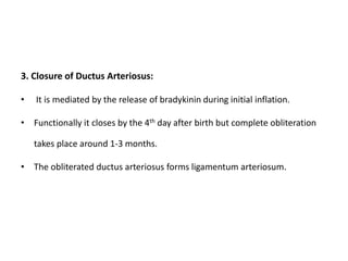 3. Closure of Ductus Arteriosus:
• It is mediated by the release of bradykinin during initial inflation.
• Functionally it closes by the 4th day after birth but complete obliteration
takes place around 1-3 months.
• The obliterated ductus arteriosus forms ligamentum arteriosum.
 