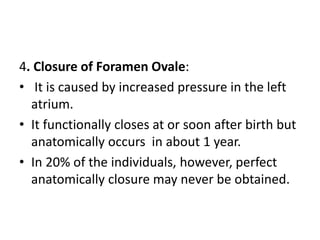 4. Closure of Foramen Ovale:
• It is caused by increased pressure in the left
atrium.
• It functionally closes at or soon after birth but
anatomically occurs in about 1 year.
• In 20% of the individuals, however, perfect
anatomically closure may never be obtained.
 