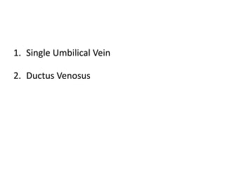 1. Single Umbilical Vein
2. Ductus Venosus
 