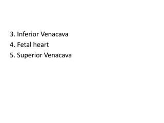 3. Inferior Venacava
4. Fetal heart
5. Superior Venacava
 