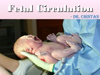 Fetal CirculationFetal Circulation
- Dr. Chintan
 