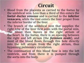 Circuit
• Blood from the placenta as carried to the foetus by
the umbilical vein. Less than a third of this enters the
foetal ductus venosus and is carried to the inferior
venacava, while the rest enters the liver proper from
the inferior border of the liver.
• The branch of the umbilical vein that supplies the
right lobe of the liver first joins with the portal vein.
The blood then moves to the right atrium of
the heart. In the foetus, there is an opening between
the right and left atrium (the foramen ovale), and
most of the blood flows through this hole directly
into the left atrium from the right atrium, thus
bypassing pulmonary circulation.
• The continuation of this blood flow is into the left
ventricle, and from there it is pumped through
the aorta into the body.
 