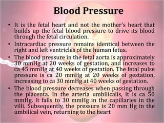 Blood Pressure
• It is the fetal heart and not the mother's heart that
builds up the fetal blood pressure to drive its blood
through the fetal circulation.
• Intracardiac pressure remains identical between the
right and left ventricles of the human fetus.
• The blood pressure in the fetal aorta is approximately
30 mmHg at 20 weeks of gestation, and increases to
ca 45 mmHg at 40 weeks of gestation. The fetal pulse
pressure is ca 20 mmHg at 20 weeks of gestation,
increasing to ca 30 mmHg at 40 weeks of gestation.
• The blood pressure decreases when passing through
the placenta. In the arteria umbilicalis, it is ca 50
mmHg. It falls to 30 mmHg in the capillaries in the
villi. Subsequently, the pressure is 20 mm Hg in the
umbilical vein, returning to the heart
 