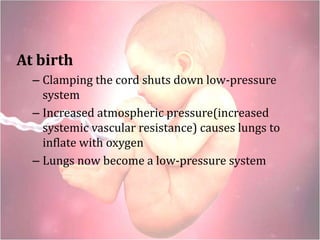 At birth
– Clamping the cord shuts down low-pressure
system
– Increased atmospheric pressure(increased
systemic vascular resistance) causes lungs to
inflate with oxygen
– Lungs now become a low-pressure system
 