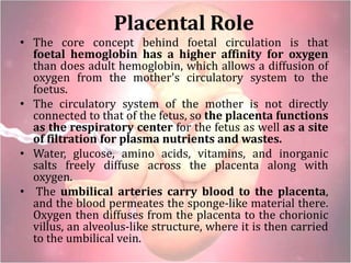 Placental Role
• The core concept behind foetal circulation is that
foetal hemoglobin has a higher affinity for oxygen
than does adult hemoglobin, which allows a diffusion of
oxygen from the mother's circulatory system to the
foetus.
• The circulatory system of the mother is not directly
connected to that of the fetus, so the placenta functions
as the respiratory center for the fetus as well as a site
of filtration for plasma nutrients and wastes.
• Water, glucose, amino acids, vitamins, and inorganic
salts freely diffuse across the placenta along with
oxygen.
• The umbilical arteries carry blood to the placenta,
and the blood permeates the sponge-like material there.
Oxygen then diffuses from the placenta to the chorionic
villus, an alveolus-like structure, where it is then carried
to the umbilical vein.
 