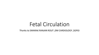 Fetal Circulation
Thanks to SMARAK RANJAN ROUT ,DM CARDIOLOGY ,SGPGI
 