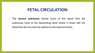 FETAL CIRCULATION
 The ductus arteriosus shunts much of this blood from the
pulmonary trunk to the descending aorta where it mixes with the
blood that did not enter the arteries to the head and arms.
 