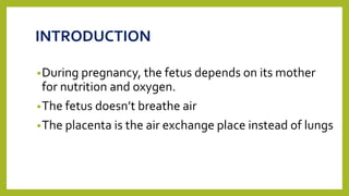 INTRODUCTION
•During pregnancy, the fetus depends on its mother
for nutrition and oxygen.
•The fetus doesn’t breathe air
•The placenta is the air exchange place instead of lungs
 