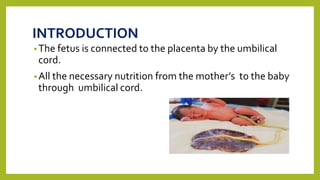 INTRODUCTION
•The fetus is connected to the placenta by the umbilical
cord.
•All the necessary nutrition from the mother’s to the baby
through umbilical cord.
 