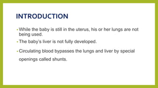 INTRODUCTION
• While the baby is still in the uterus, his or her lungs are not
being used.
• The baby’s liver is not fully developed.
• Circulating blood bypasses the lungs and liver by special
openings called shunts.
 