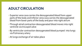 ADULT CIRCULATION
• Superior vena cava carries the deoxygenated blood from upper
parts of the body and Inferior vena cava carries the deoxygenated
blood from lower parts of the body and pour into right atrium
• Through atrial contraction deoxygenated blood moves into right
ventricle via tricuspid valve
• By ventricular contraction deoxygenated blood pumped into lungs
via Pulmonary artery
• At lungs exchange of air takes place
 