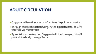 ADULT CIRCULATION
• Oxygenated blood moves to left atrium via pulmonary veins
• Through atrial contraction Oxygenated blood transfer to Left
ventricle via mitral valve
• By ventricular contraction Oxygenated blood pumped into all
parts of the body through Aorta
 