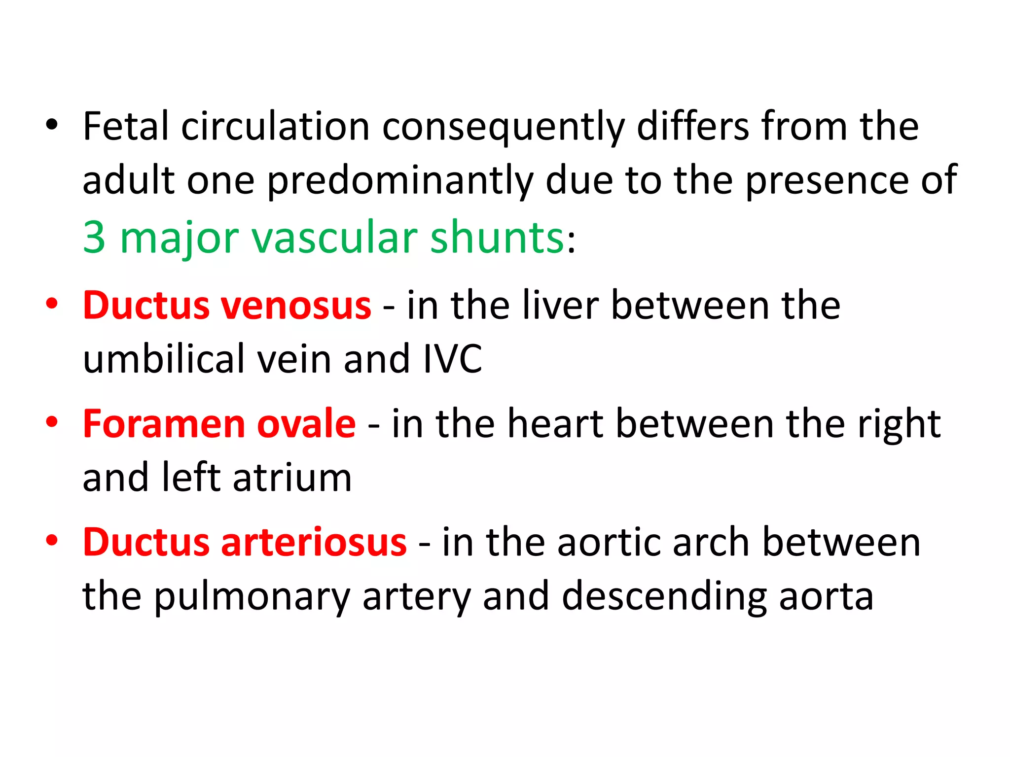 fetalcirculation-200727100552.pdf