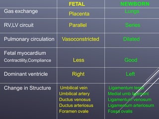 FETAL NEWBORN
Gas exchange Placenta Lungs
RV,LV circuit Parallel Series
Pulmonary circulation Vasoconstricted Dilated
Fetal myocardium
Contractility,Compliance Less Good
Dominant ventricle Right Left
Change in Structure Umbilical vein
Umbilical artery
Ductus venosus
Ductus arteriosus
Foramen ovale
Ligamentum teres
Medial umb ligament
Ligamentum venosum
Ligamentum arteriosum
Fossa ovalis
 