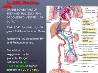 3. INFERIOR VENA
CAVA:
DRAINS LOWER PART OF
BODY AND PLACENTA (70%
OF COMBINED VENTRICULAR
OUTPUT)
Part of IVC blood with high O2
goes into LA via Foramen Ovale.
Remaining IVC blood enter RV
and Pulmonary artery.
Since blood is
oxygenated in the
placenta, Oxygen
saturation in IVC
(PO2 =26-28%) is higher
than that in SVC (12-14%).
 
