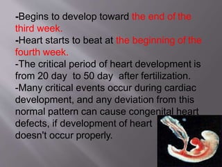 -Begins to develop toward the end of the
third week.
-Heart starts to beat at the beginning of the
fourth week.
-The critical period of heart development is
from 20 day to 50 day after fertilization.
-Many critical events occur during cardiac
development, and any deviation from this
normal pattern can cause congenital heart
defects, if development of heart
doesn't occur properly.
 