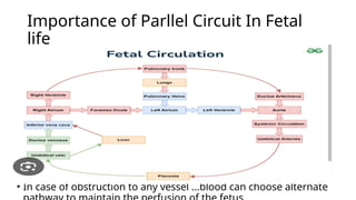 Comprehensive Overview of Fetal Circulation and Postnatal Transition | PPTX